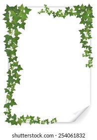 white empty paper sheet decorated branches of ivy 
