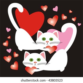 White enamoured cats