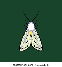 White ermine moth. Green background.