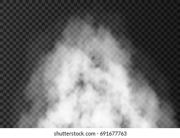 White explosion isolated on transparent background. Steam special effect. Realistic vector fire smoke, fog or mist texture.
