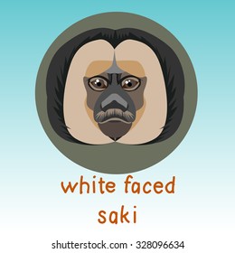 White Faced Saki Monkey