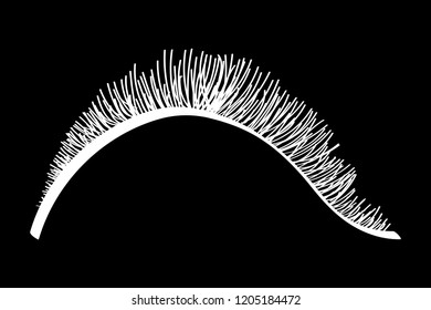 White false eyelashes. Mascara decorative element vector illustration