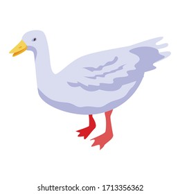 White farm duck icon. Isometric of white farm duck vector icon for web design isolated on white background