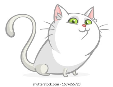 Gato gordo blanco con ojos verdes sentado. Ilustración de gatos de dibujos animados