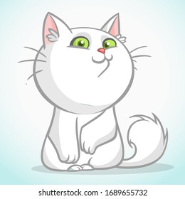 Gato gordo blanco con ojos verdes sentado. Ilustración de gatos de dibujos animados