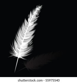 White feather