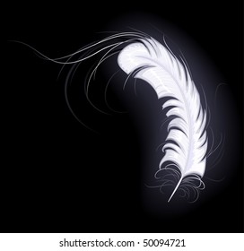 a white feather of the angel with long easy hairsprings shines on a dark background