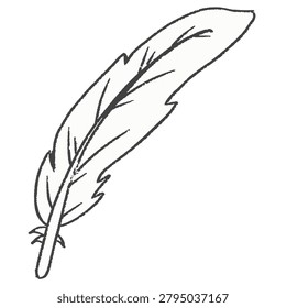 White feather chicken duck birds quill cartoon drawing illustration