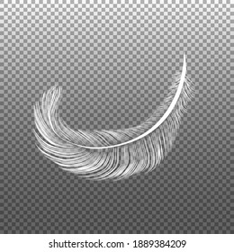 Pluma blanca. Colocación de plumas de barniz de color blanquecino aislado en el fondo de la rejilla de transparencia.