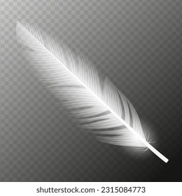 White feather. Flying realistic vector white feather. Isolated vector illustration EPS10