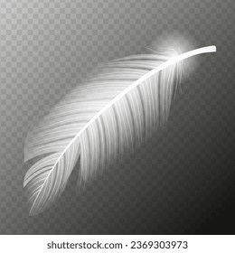 White feather. Flying realistic vector white feather. Isolated vector illustration EPS10