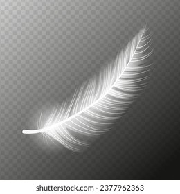 White feather. Flying realistic vector white feather. Isolated vector illustration EPS10
