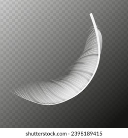 White feather. Flying realistic vector white feather. Isolated vector illustration EPS10