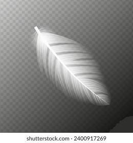 White feather. Flying realistic vector white feather. Isolated vector illustration EPS10