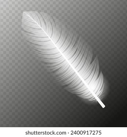 White feather. Flying realistic vector white feather. Isolated vector illustration EPS10