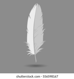 white feather, icon, pen, decorative feather of a birds, on a gray background, vector illustration