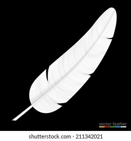 White feather on black background. Vector illustration