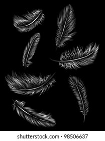 White feathers