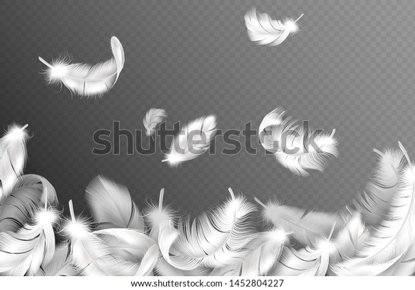 白い羽の背景 羽ばたい白鳥 ハトや天使の羽 柔らかい鳥の羽 下のオブジェクトのシルエットベクター画像コンセプトを持つチラシのスタイルを設定 のベクター画像素材 ロイヤリティフリー