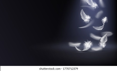 White feathers of a bird or angel fall from above in the dark, lightness and tenderness