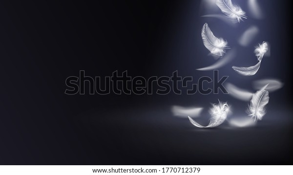 鳥や天使の白い羽が 暗く 軽く 優しく 上から落ちる のベクター画像素材 ロイヤリティフリー
