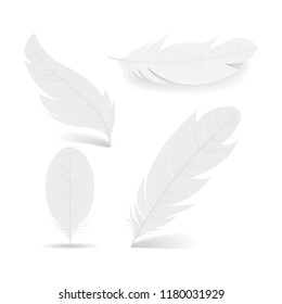 White feathers collection. Symbol of lightness, innocence, hope and heaven. Various shapes of Angel or bird detailed feathers. Realistic vector isolated illustration on a white background.