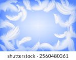 White feathers floating against a soft blue sky background, creating a light and airy atmosphere.