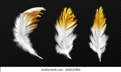 White feathers with gold glitter on edges, birds plumage or hackles with golden sparks, boho style trendy design elements isolated on black background, Realistic 3d vector illustration, icons set