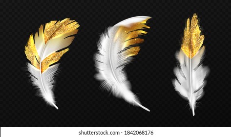 White feathers with gold glitter on edges, boho style birds plumage or hackles with golden sparks, trendy design elements isolated on black background, Realistic 3d vector illustration, icons set