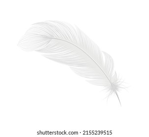 Composición realista de plumas blancas con imagen aislada de plumas puras sobre ilustración vectorial de fondo en blanco