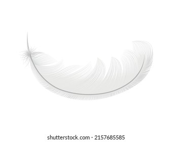 Composición realista de plumas blancas con imagen aislada de plumas puras sobre ilustración vectorial de fondo en blanco