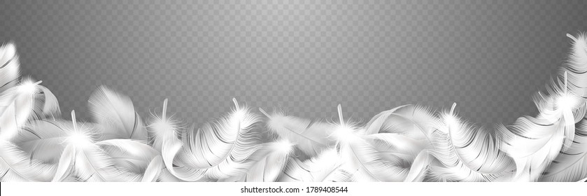 White feathers. Realistic curve frame with fluffy bird plume, falling softness goose, hen or swan close up plumage, style smooth border for banner poster or flyer vector isolated illustration