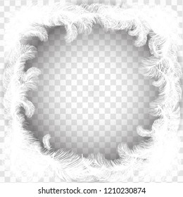 white feathers, round, banner, realistic illustration on transparent vector background