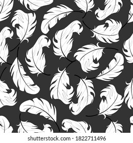 Patrón de plumas blancas sin soldadura. Las plumas blancas sobre un fondo de color en un patrón sin fisuras.