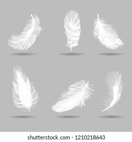 white feathers set, realistic, vector illustration on grey background
