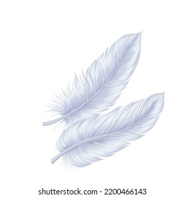 White feathers vector illustration. Cartoon isolated fluffy lightweight two feathers falling from bird plumage or soft pillow, natural quill from wing of flying animal, smooth and softness of fluff