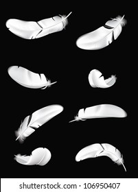 White feathers. The vector illustration of several white feathers in different positions. For dark backgrounds only.