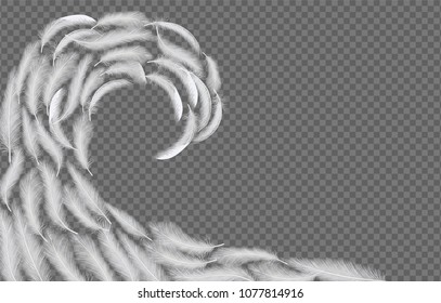 White feathers wave. Vector realistic illustration isolated on transparent background.