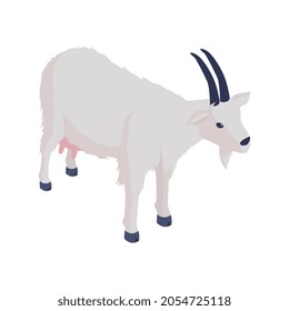 White female goat with udder isometric vector illustration