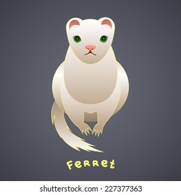White ferret with green eyes on a gray background