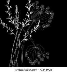 White field flowers on black background