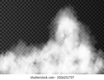 White fire smoke  isolated on transparent background.  Steam special effect.  Realistic  vector fog  or mist texture .