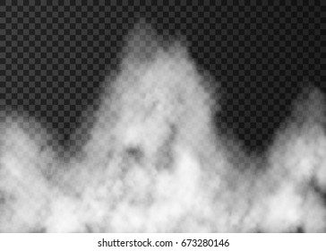 White fire smoke isolated on transparent background.  Steam special effect.  Realistic  vector   fog  texture.