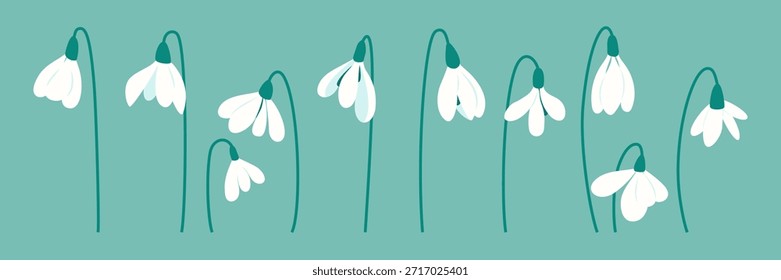Primeras flores blancas, gotas de nieve sobre fondo turquesa. Delicado Anuncio de primavera con flores blancas. Marco floral botánico. Elementos botánicos de primavera para Snowdrop Day, tarjetas, invitaciones e impresiones
