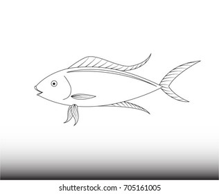 White Fish on white background.- Illustration
sea,ocean, Animal, Painted Image,sea food, Fishing