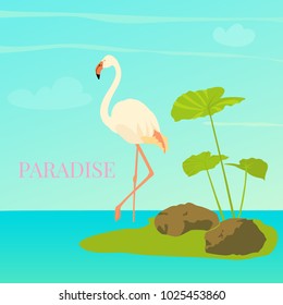 White flamingo standing in water on one leg. Exotic bird made in flat style. Silhouette on blue background.