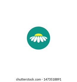 white flat icon of daisy or camomile flower in blue circle. Big Bloom with big oval petals. Isolated on white.  Vector illustration. Eco style. Nature symbol.