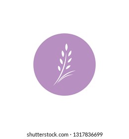 White flat icon of lavender flower in violet circle. Isolated on white. Vector illustration. Eco style. Nature symbol. 