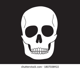 White flat skull icon isolated on black background. Vector illustration.