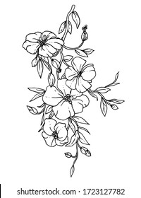 Flor de lino blanco. Ilustración botánica vectorial aislada: retro, vintage, dibujado a mano, negro y blanco, contorno. Para invitación de boda, tarjeta, impresión, tatuaje. Al estilo japonés.